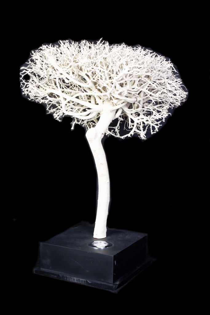 Bílý strom - lampa
